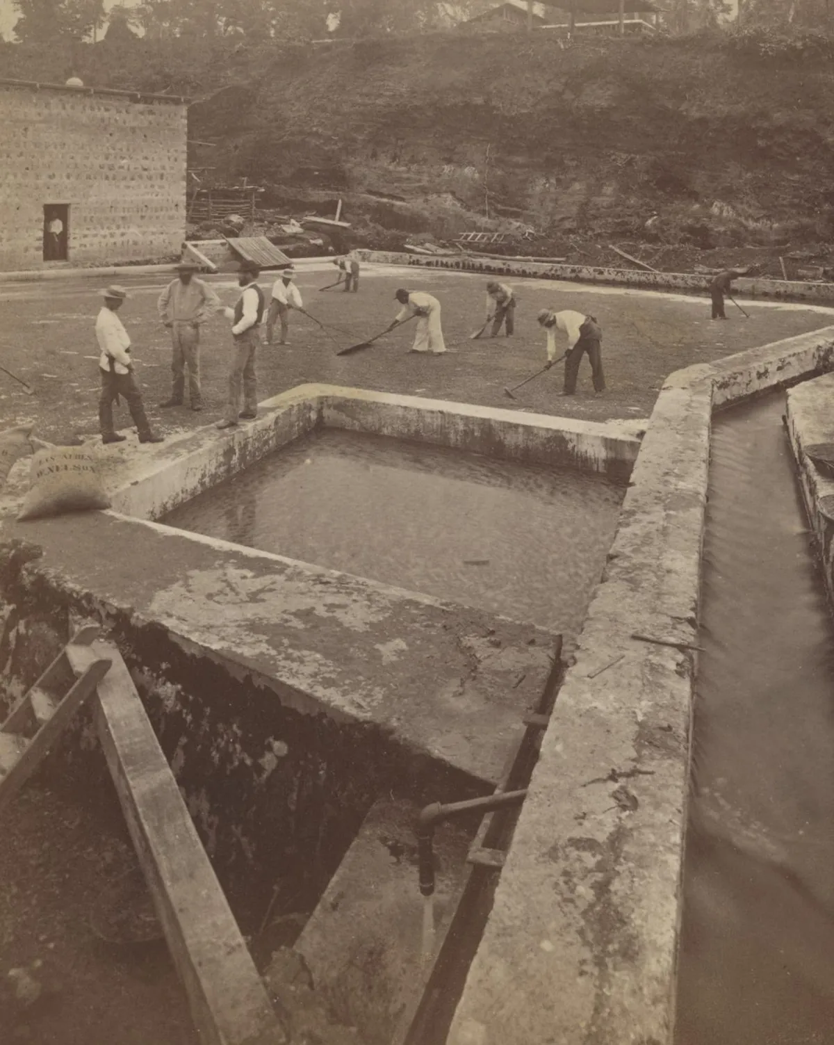 Trabajadores con rastrillos secan café en un patio de la finca Las Nubes, junto a una pila de agua y un canal, hacia 1875.