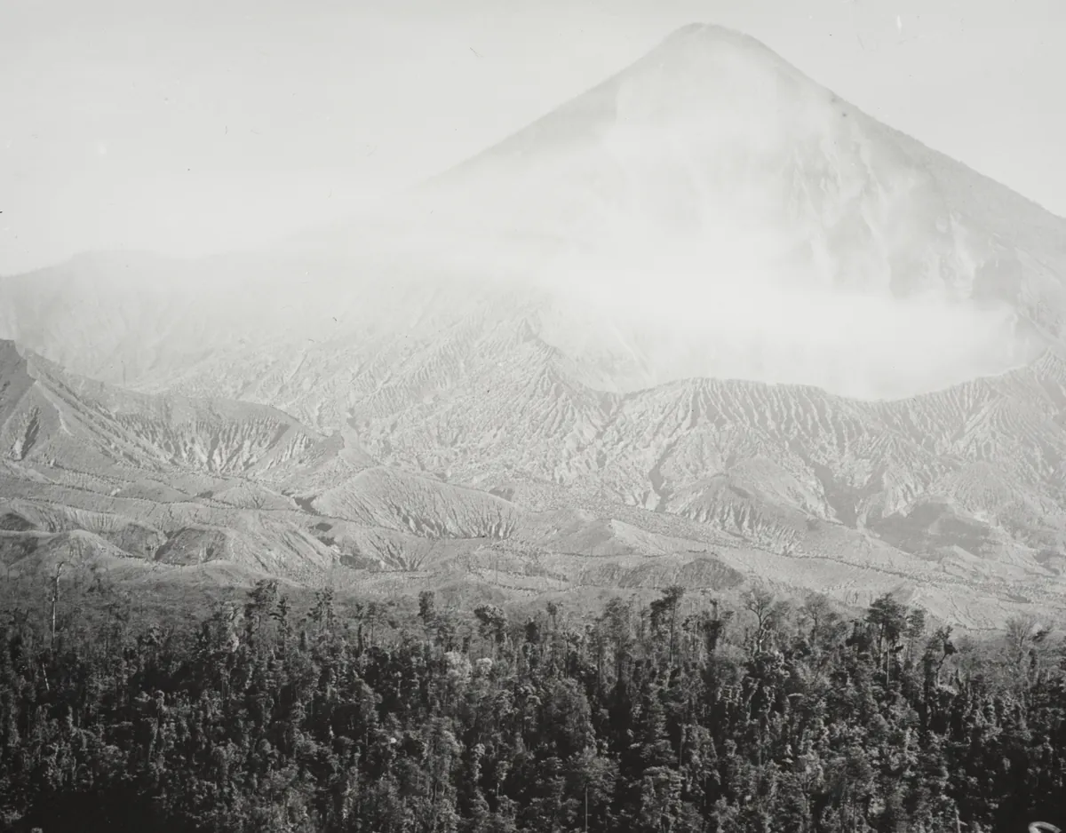 El cono del Volcán Santa María sobre laderas de ceniza cortadas por barrancos, con bosque al frente, 1906–1907.