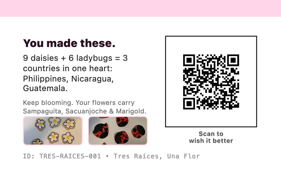 The back of that card: You made these, nine paper daisies and six ladybugs for the Philippines, Nicaragua and Guatemala, and a code to scan